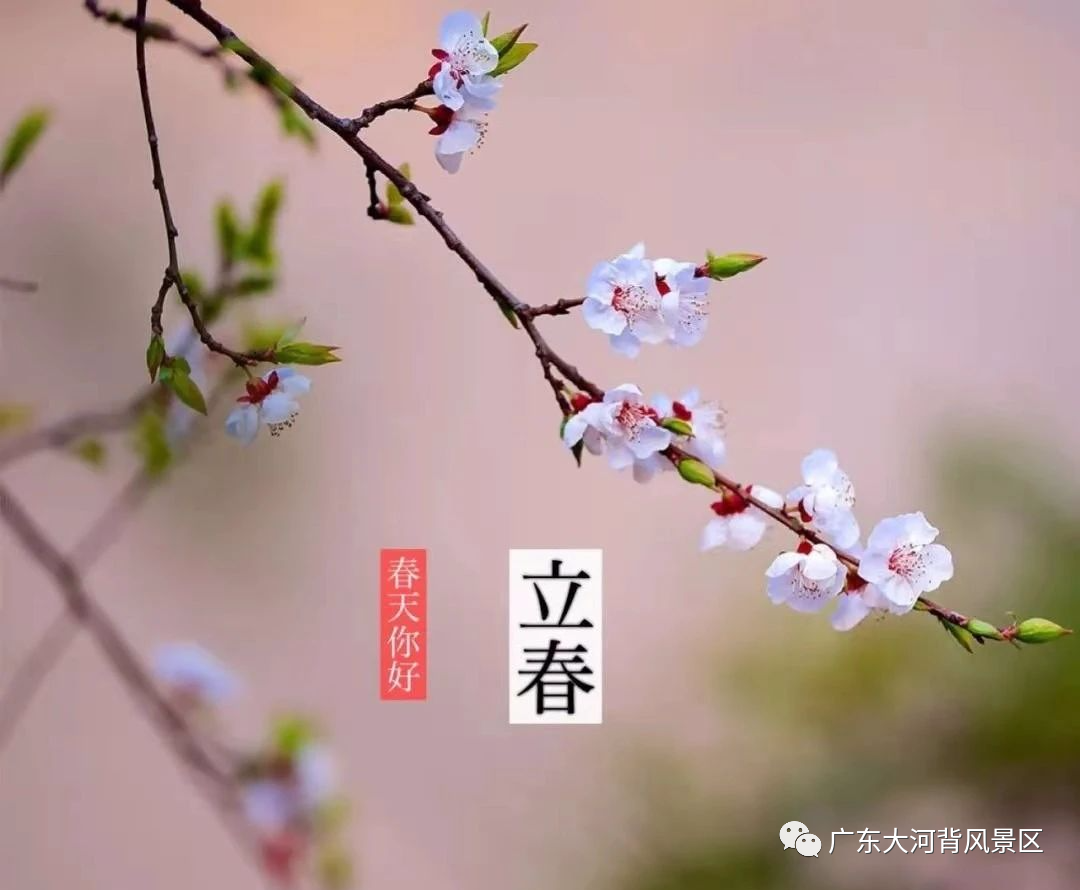 立春 I 春光不負(fù)你，詩(shī)意盎然